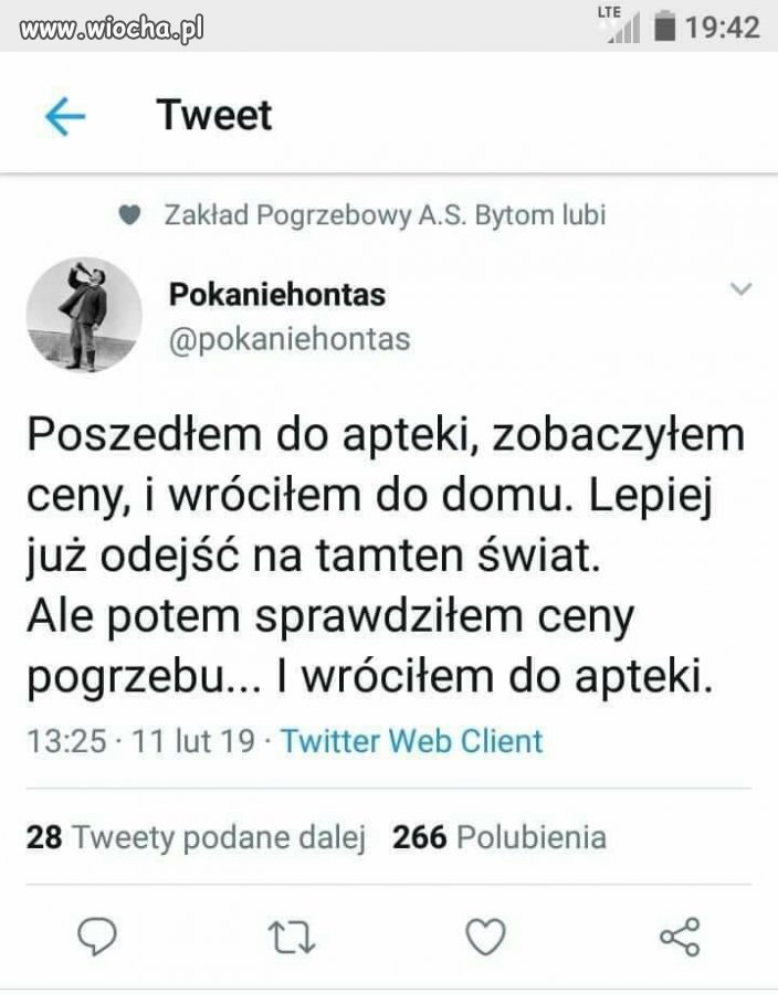 Coś w tym jest