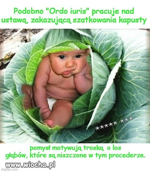 Lubicie bigos?