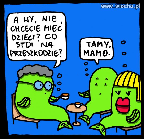 Czego nie rozumiesz.