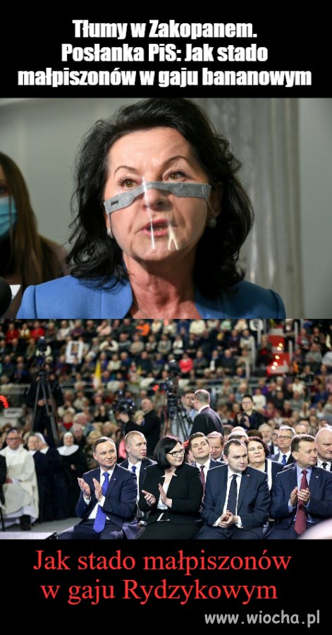 Małpiszony w gaju 