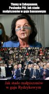 Małpiszony w gaju 