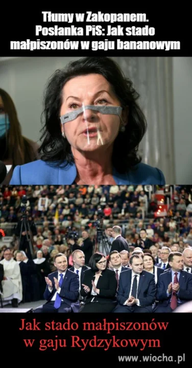 Małpiszony w gaju 