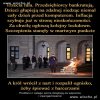 Adrian już osiągnął dno