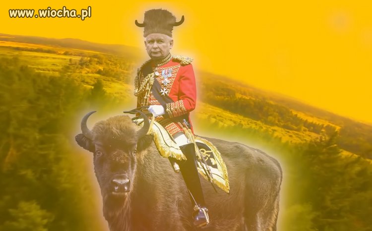 Jaki kraj, taki Napoleon