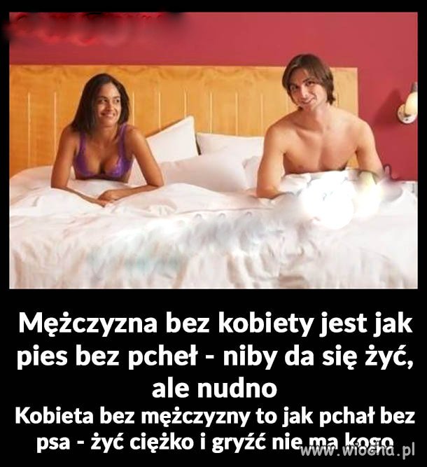 Panowie! Jak tam wasze pchły ? 