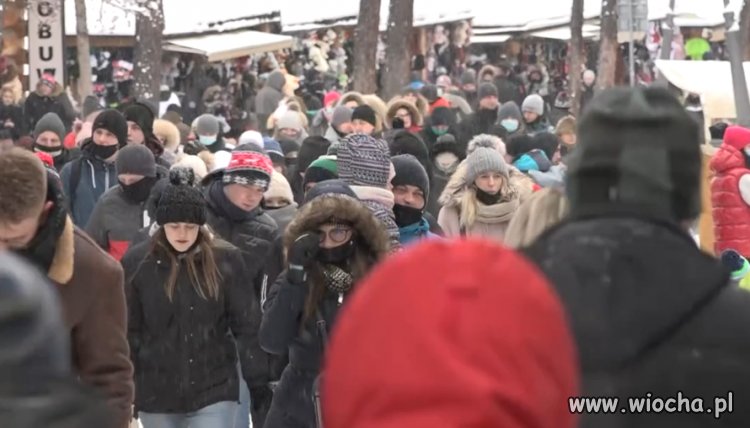 Małpy wypuszczone z ZOO z Sosnowca i Warszafffki