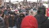 Małpy wypuszczone z ZOO z Sosnowca i Warszafffki