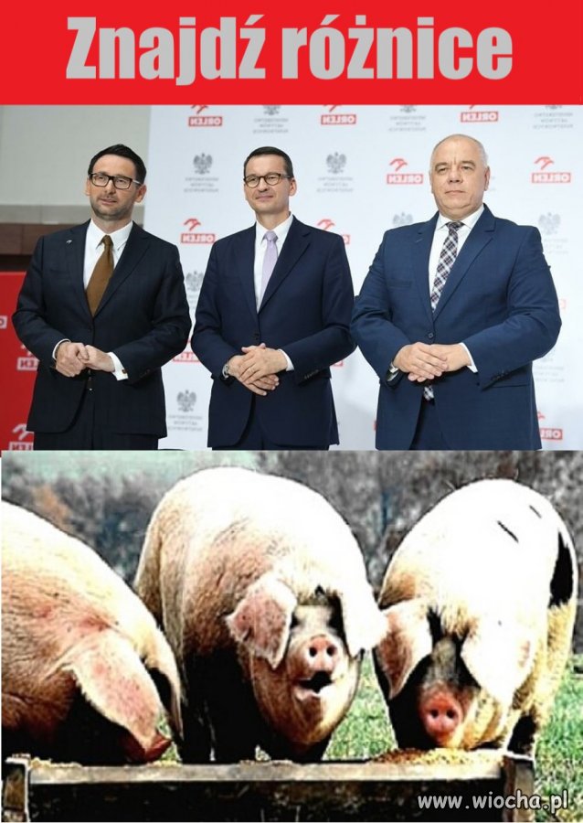 Znajdź różnice