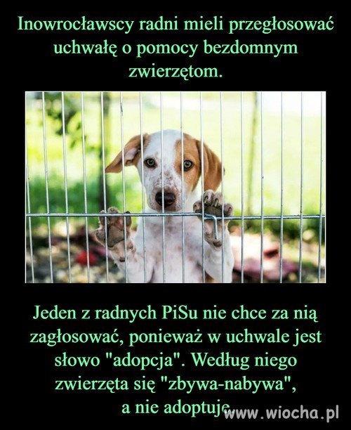 Cały PiS...