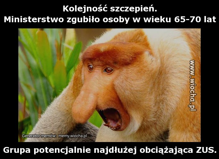 Kolejność szczepień.