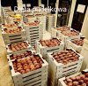 Jedyna dzisiaj słuszna - DIETA PUDEŁKOWA
