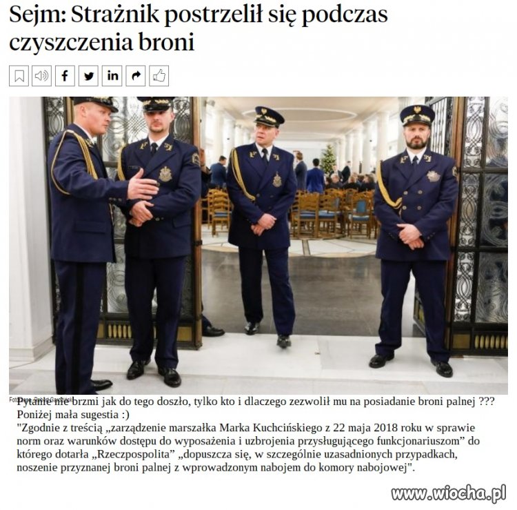 Te pukawki na szyszki i tak