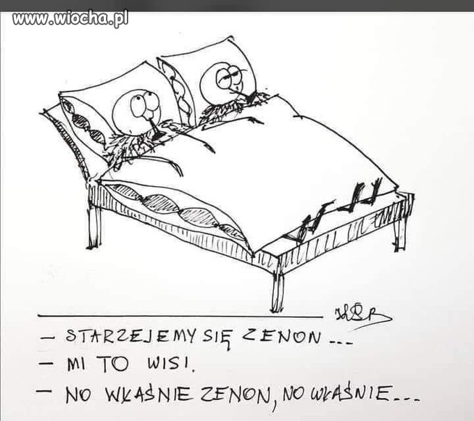 Zenek się starzeje
