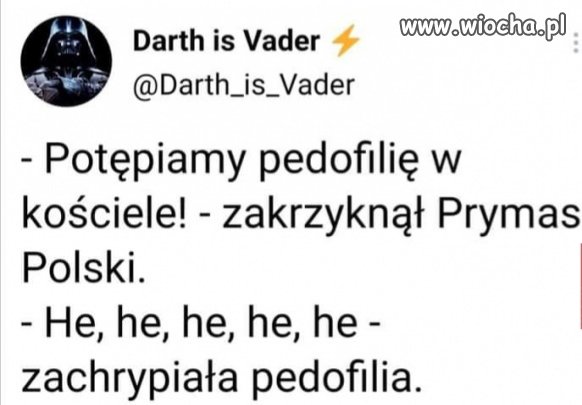 Łże jak pies.