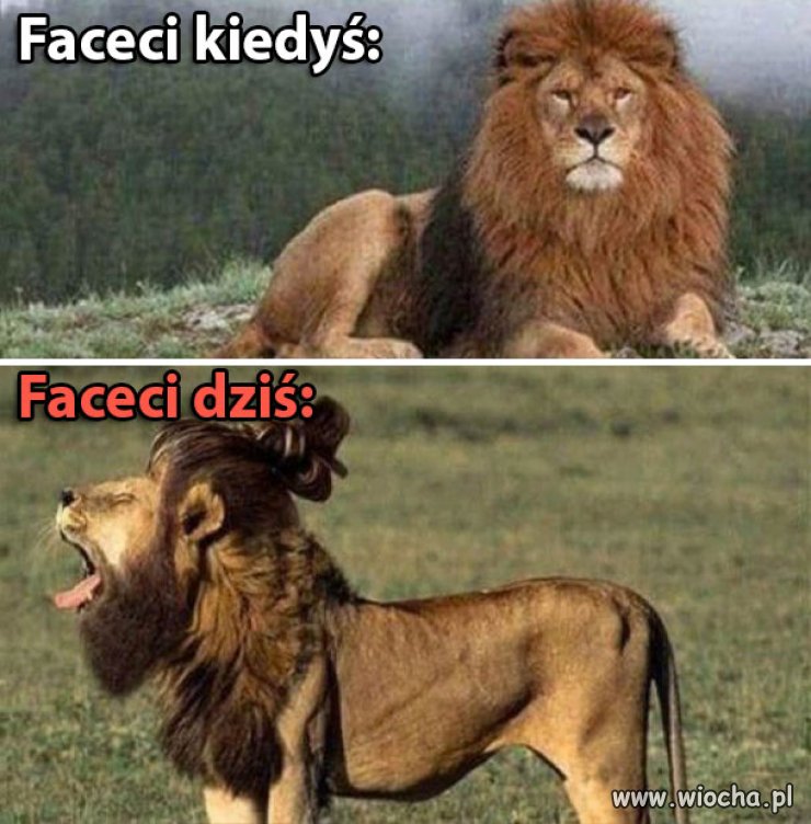 Kiedyś i dziś 