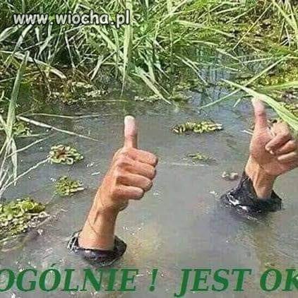 Rząd. 