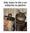 Kobieta w te dni 