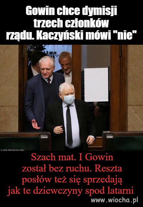 Gowin wysokiego wzrostu