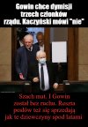 Gowin wysokiego wzrostu