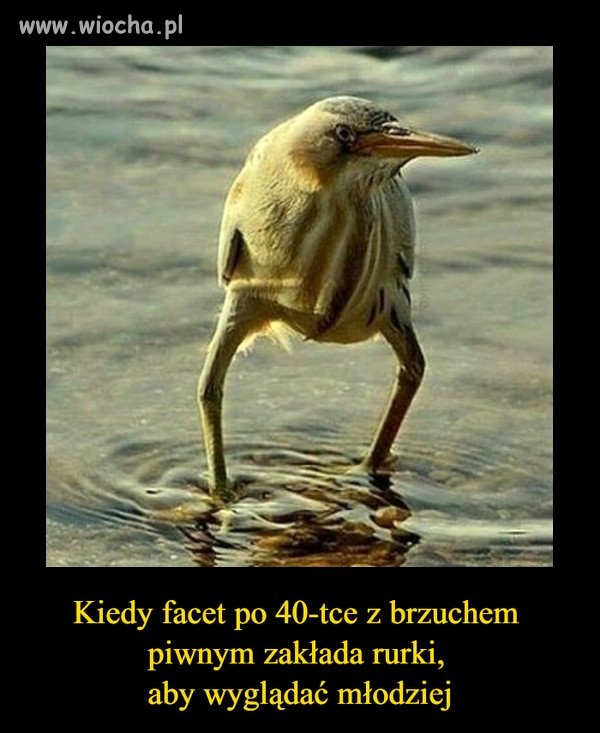 Nie zawsze modnie znaczy dobrze 