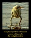 Nie zawsze modnie znaczy dobrze 