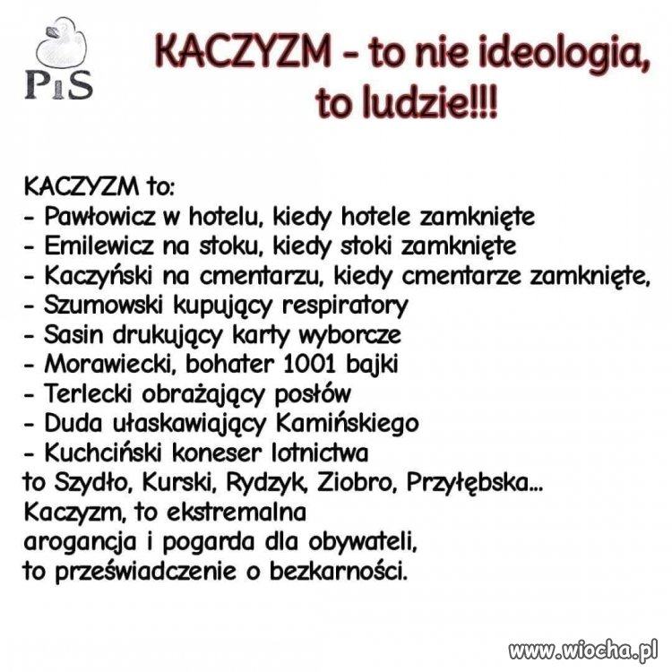 Kaczyzm w skrócie ...