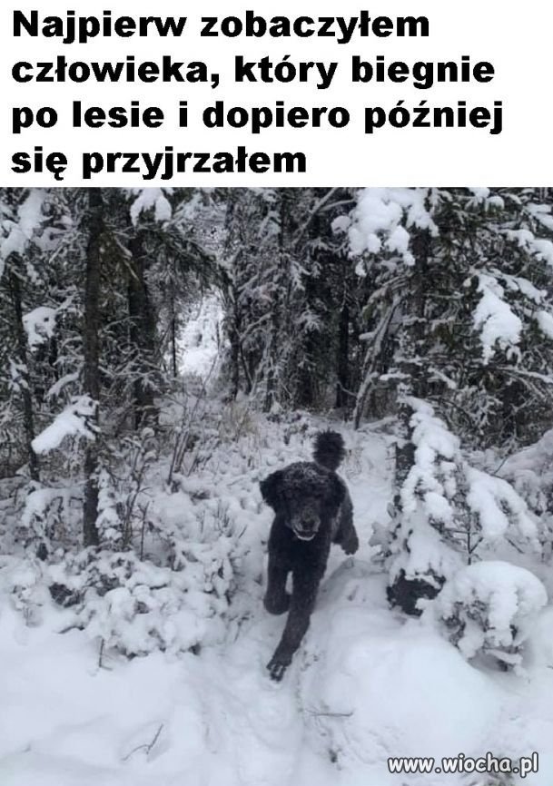 Heheszki