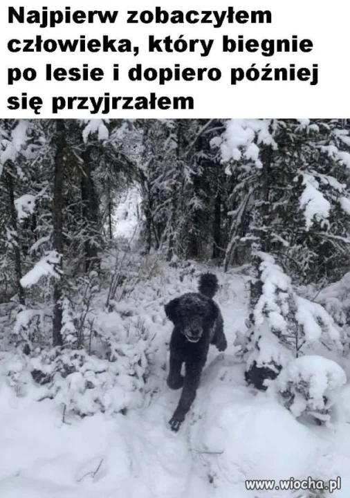Heheszki