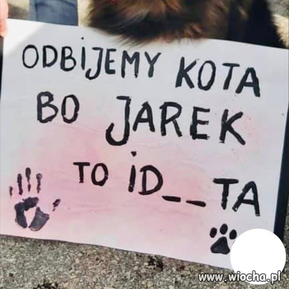 Tytuł zbędny