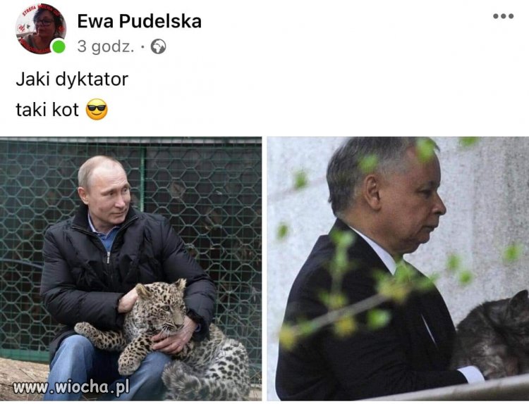 No właśnie. 