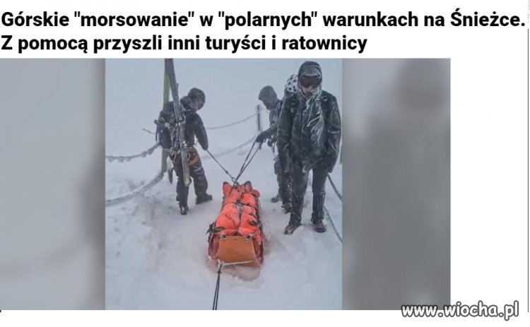 Nie mam na nic czasu, bo cały czas morsuję