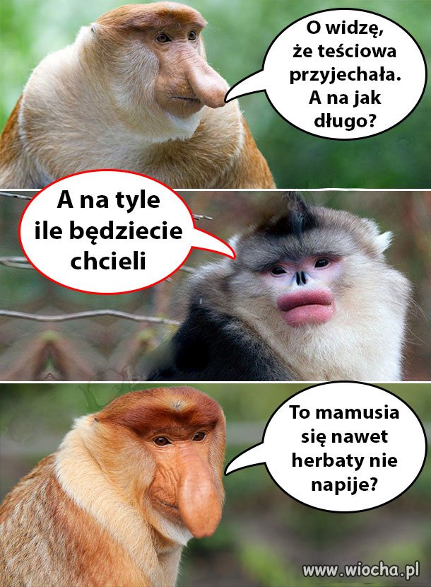 Tak szybko ? Jaka szkoda :/