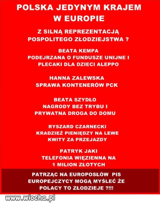Czy Polacy stali sie zlodziejami w Europie?
