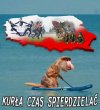 POLAND SILNA!