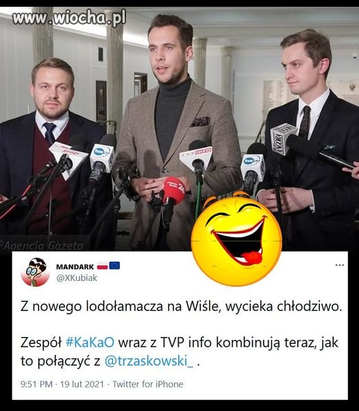 Elita myślących