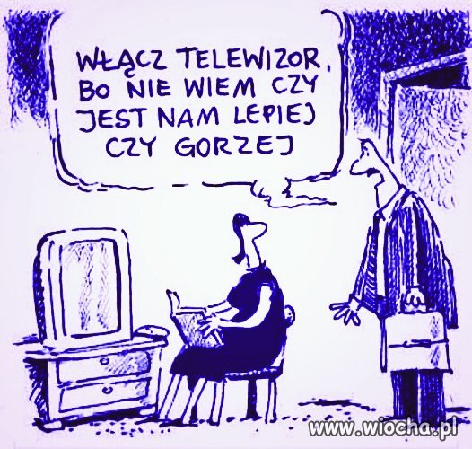 TV Wyrocznia
