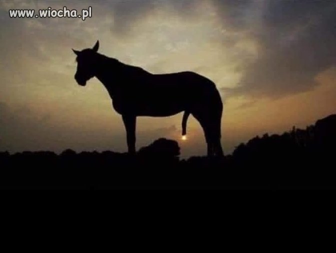 Wschód czy zachód ?