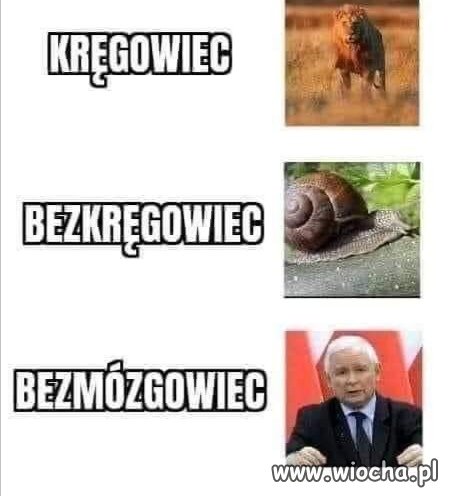 #jbcpi*
