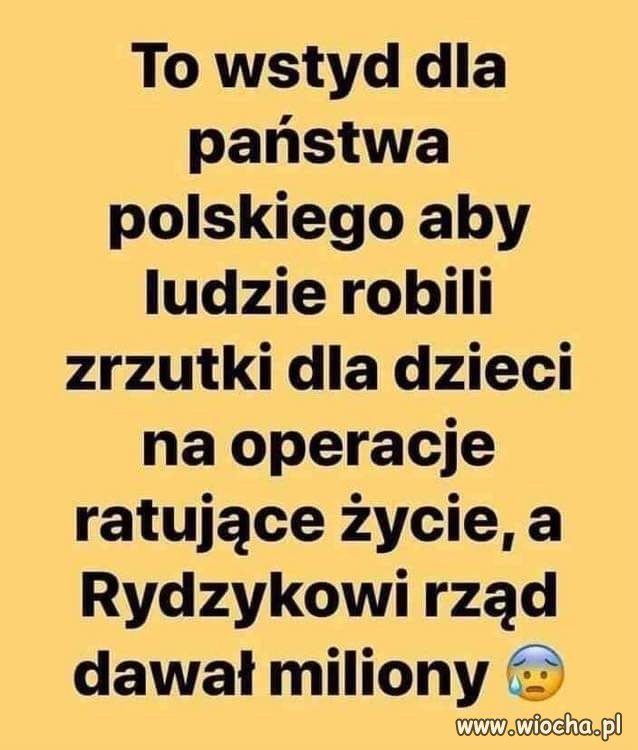 Wstyd dla Polszy