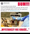 Wystarczy