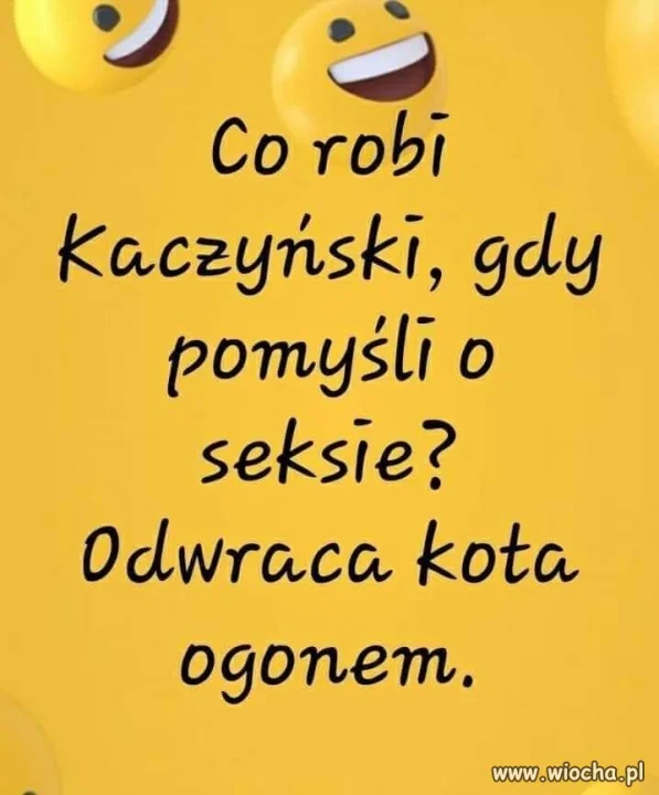 Co na to kot ?