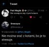 Koty to ostatnio modny temat