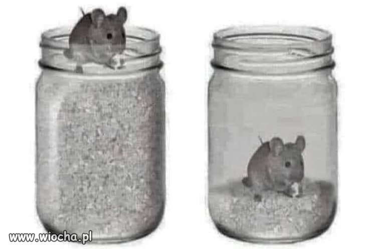 Tak traci się wolność...