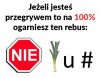 Rebus 