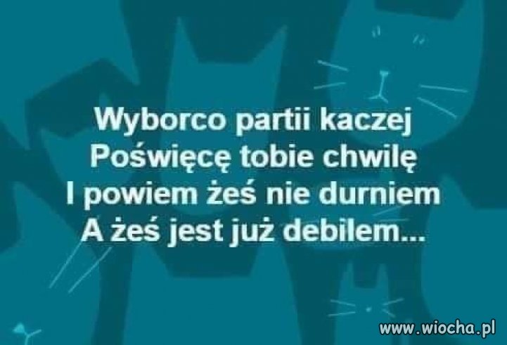 Krótko i w samo sedno ...
