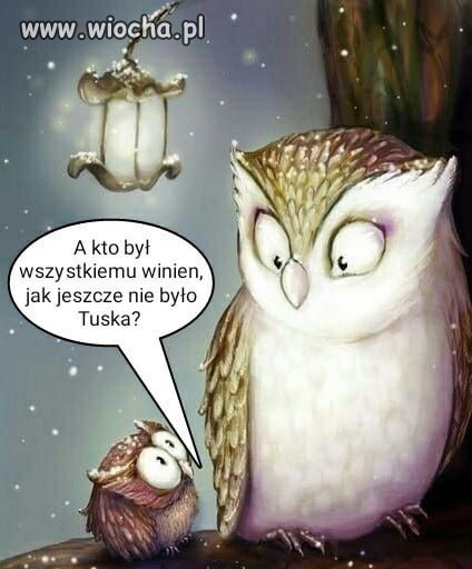Dobre pytanie