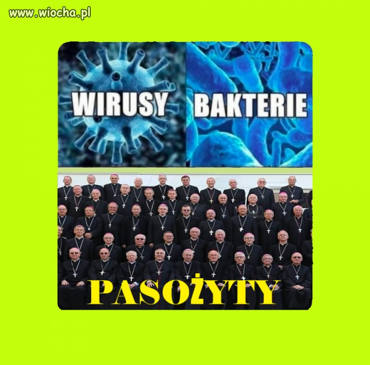Wirusy bakterie pasożyty.