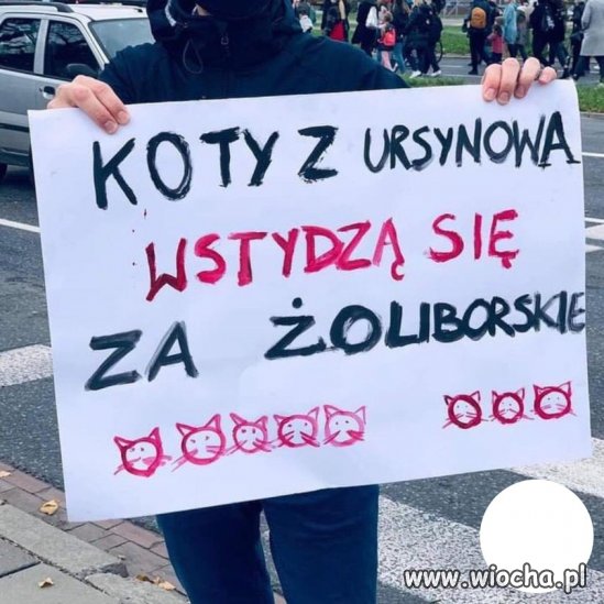 Tytuł zbędny