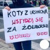 Tytuł zbędny