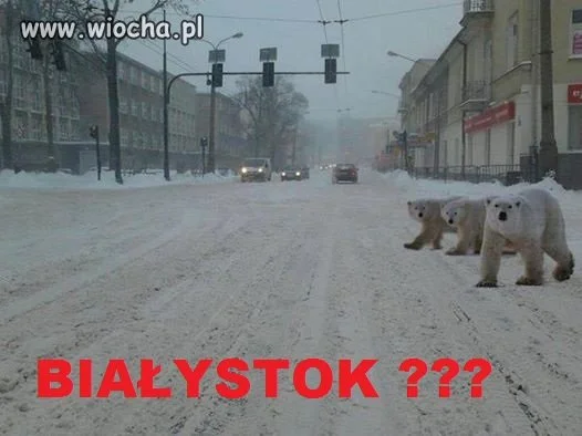 Białystok ?